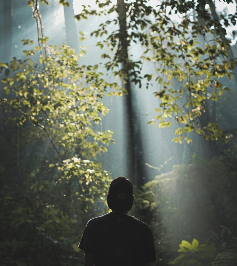 A person stands silhouetted in a sunlit forest, surrounded by trees and rays of light.